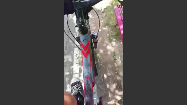 Asasass 16-12-2025 Recorded Video Video