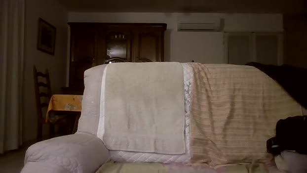 cybear 17-12-2025 Recorded Video lovense