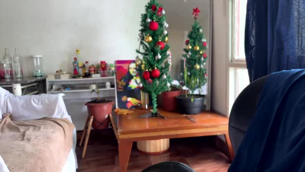 gerson229 16-12-2025 Recorded Video big