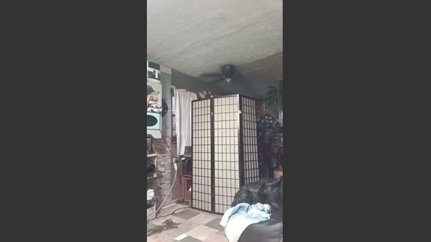thompson3 17-12-2025 Recorded Video gay