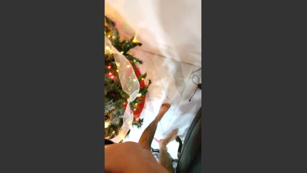 Atituderude 18-12-2025 Recorded Video bj-dildo