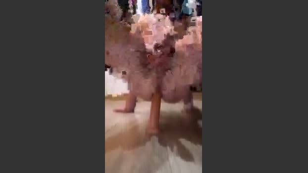 Nono42240 17-12-2025 Recorded Video toys