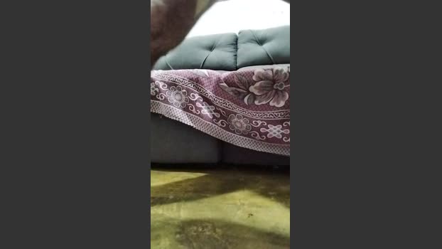 gabimtsexy1 18-12-2025 Recorded Video twink
