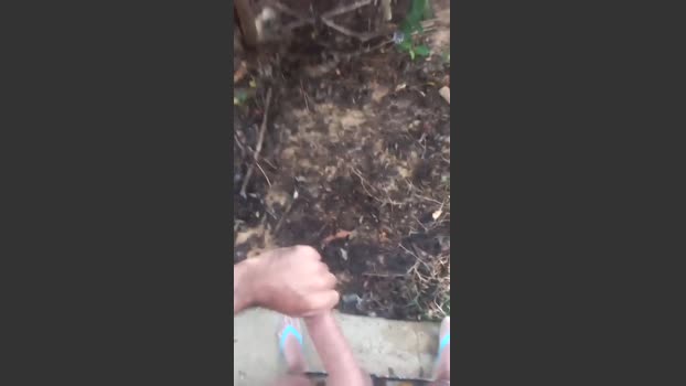 picaduura 18-12-2025 Recorded Video bigballs