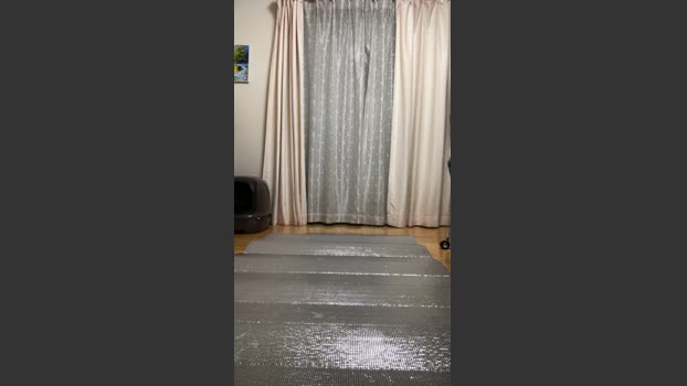 takahisa 18-12-2025 Recorded Video amateur