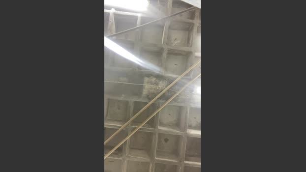 Abrahao22 18-12-2025 Recorded Video love