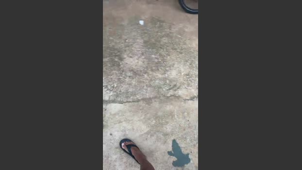 BoyTatooo 18-12-2025 Recorded Video toys