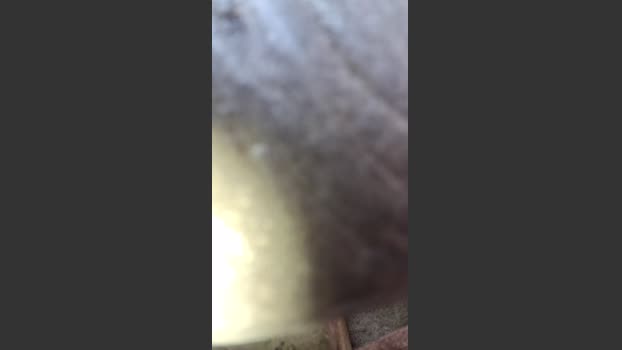 Clark_Jhonz 18-12-2025 Recorded Video yummy