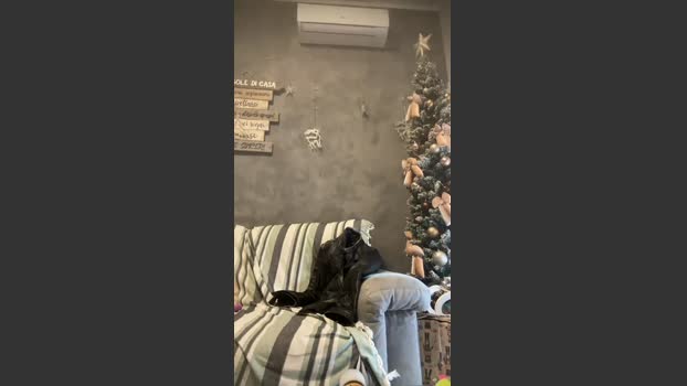 GmGit 19-12-2025 Recorded Video sexykitty