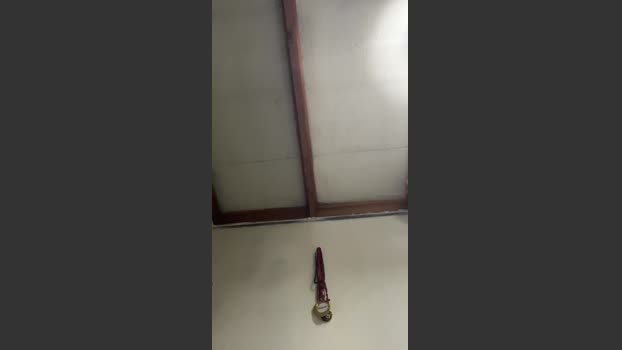 Ignatwink 19-12-2025 Recorded Video sexy