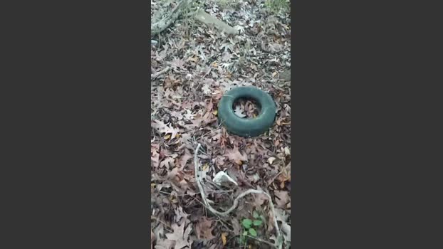 Woo_king 18-12-2025 Recorded Video orgasm