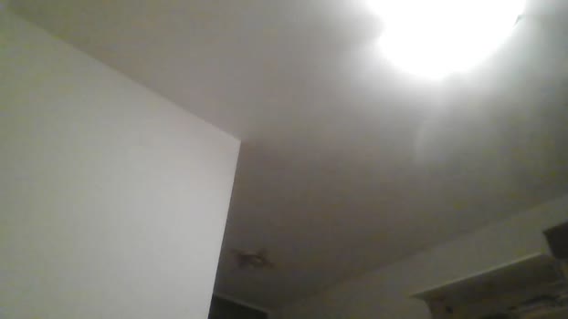 zena_xxx 18-12-2025 Recorded Video blowjob
