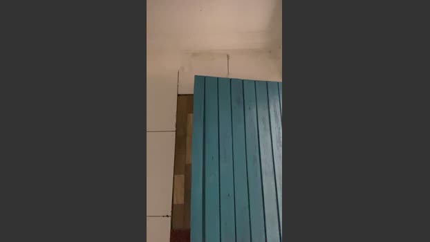 Bahia196 20-12-2025 Recorded Video fuckface