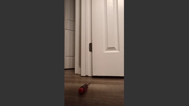 Littleguy25 20-12-2025 Recorded Video bigballs