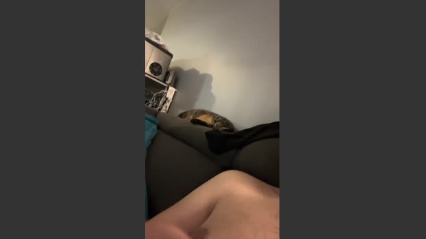 Adrien38220 21-12-2025 Recorded Video sexykitty