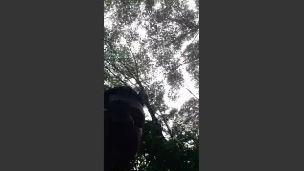 Guto6000 20-12-2025 Recorded Video jerkoff