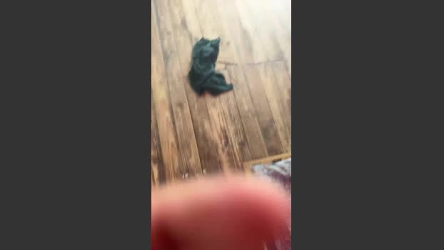 Laoquedad 21-12-2025 Recorded Video beautiful