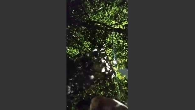 Sexylatinogay 21-12-2025 Recorded Video wank