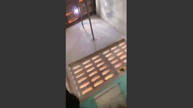 Spiderfindom 20-12-2025 Recorded Video suck