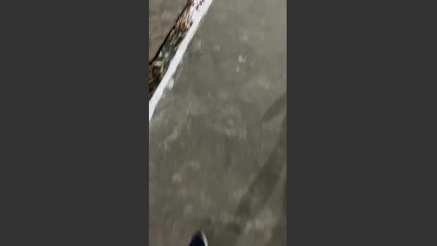 Spiderfindom 20-12-2025 Recorded Video gay