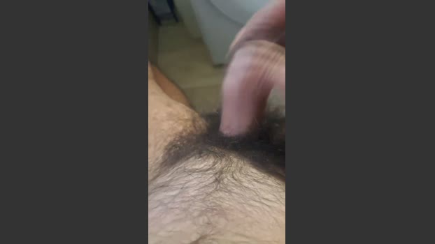 porcone256 21-12-2025 Recorded Video bigtoys