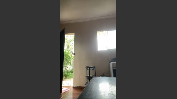 Bahia196 21-12-2025 Recorded Video lick