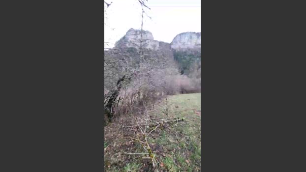 Legtiste 21-12-2025 Recorded Video kissing