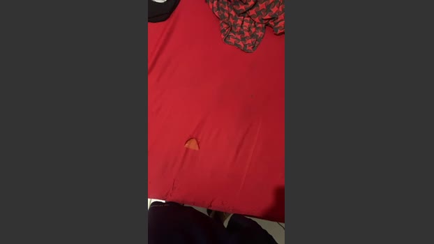 Spiderfindom 22-12-2025 Recorded Video bigtoys