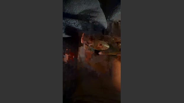 johnyy4444 22-12-2025 Recorded Video ass