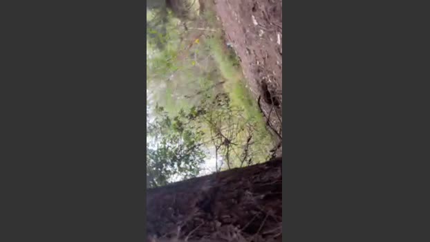 suwolanpa 22-12-2025 Recorded Video amateur