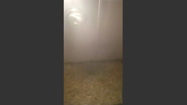 420rebel 23-12-2025 Recorded Video skinny