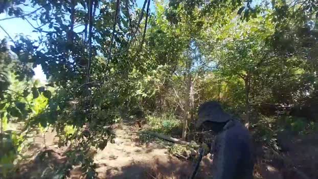 Hanroll 23-12-2025 Recorded Video sex