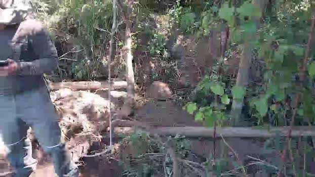 Hanroll 23-12-2025 Recorded Video Pretty