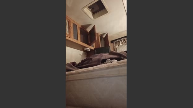 Littleguy25 23-12-2025 Recorded Video toy