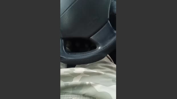 javi1842 23-12-2025 Recorded Video Porn