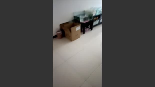 kyan8 23-12-2025 Recorded Video kiss