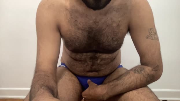 passaroproibido 23-12-2025 Recorded Video big