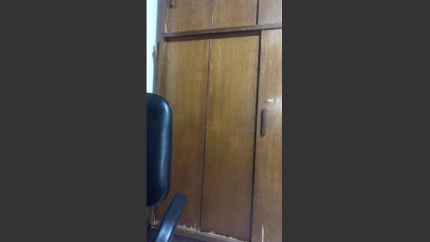 Reedtwink 24-12-2025 Recorded Video Video