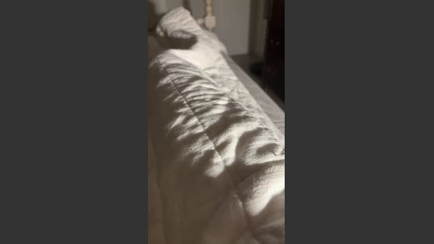Rhinodaddy69 24-12-2025 Recorded Video moan