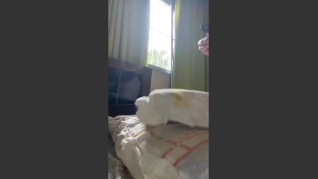 blueeyesmart 24-12-2025 Recorded Video hard