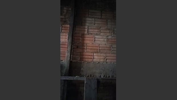 Alisonjuenendun 24-12-2025 Recorded Video fingers