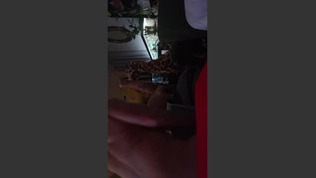 Gapermaker 25-12-2025 Recorded Video gag