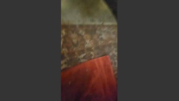 Hornyboy97_ 24-12-2025 Recorded Video Video