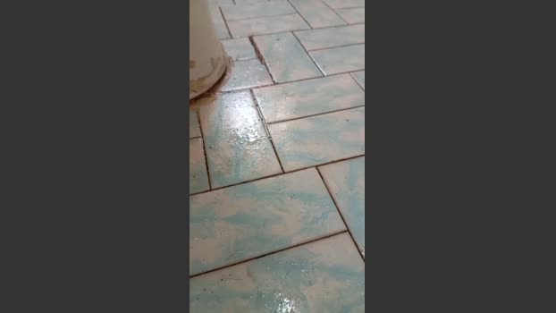dicopau 25-12-2025 Recorded Video amateur