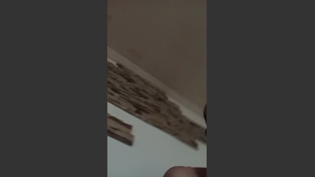 jumy5 25-12-2025 Recorded Video bigballs