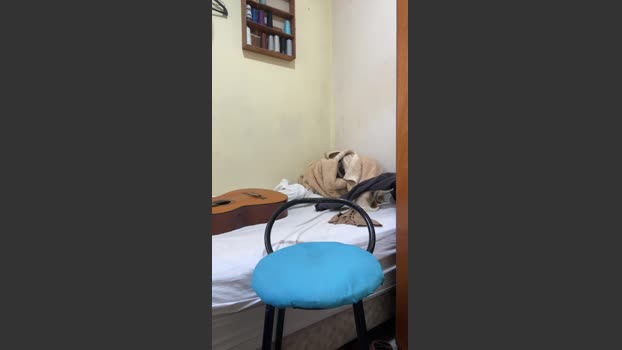 raul4396624 24-12-2025 Recorded Video toy