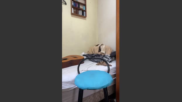 raul4396624 24-12-2025 Recorded Video toys