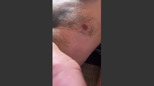 hakan183 26-12-2025 Recorded Video Show