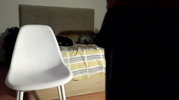 rafabr91 25-12-2025 Recorded Video jerkoff