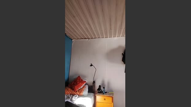 Hanroll 26-12-2025 Recorded Video twink